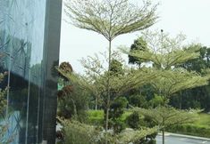 Exterior 6 Pegasus Hotel Shah Alam