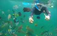 วิวและสถานที่ท่องเที่ยวใกล้เคียง 6 The Sicilian Reef Dive Resort