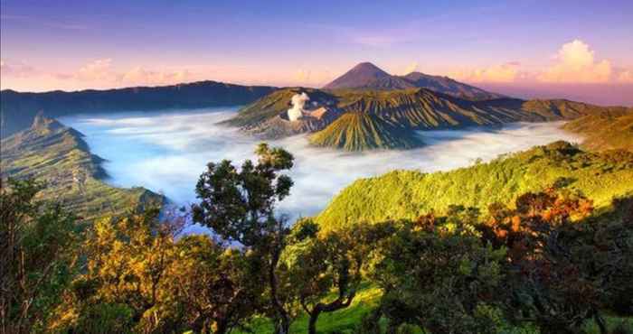 Atraksi di Area Sekitar Homestay Firdaus 1 Gunung Bromo