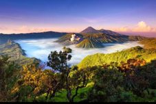 วิวและสถานที่ท่องเที่ยวใกล้เคียง Homestay Angel Gunung Bromo