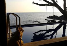 สระว่ายน้ำ 7 Cliff Cottage