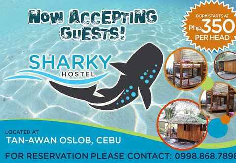 Accommodation Services Sharky Hostel Oslob