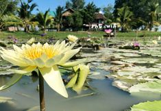 ภายนอกอาคาร 4 Resort Railumpoo (Farm & Camping)