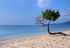 วิวและสถานที่ท่องเที่ยวใกล้เคียง 4 The White Knot Koh Chang