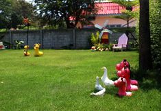 พื้นที่สาธารณะ 3 Irak Resort