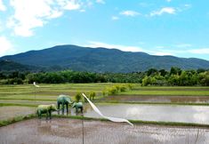 Nearby View and Attractions 6 Oasis Baan Saen Doi Spa Resort