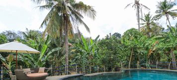 Swimming Pool 4 Villa Mangga