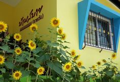 로비 3 Bansabai-Raiwan Resort