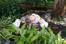 공용 공간 Bansabai-Raiwan Resort