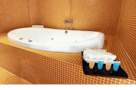 In-room Bathroom D Boutique Hotel Dengkil