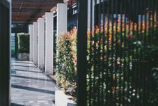 公共空间 Napalai Hotel