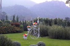 Nearby View and Attractions The Focus Khao Yai Resort