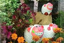 Common Space My Wind Khao Yai