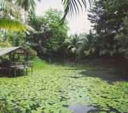 Common Space 3 Coconut Garden Bungalow