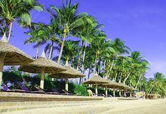 Common Space 7 Mui Ne Sun & Sea Resort and Glamping
