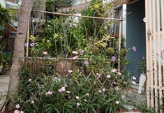 Exterior 2 Daddy's home Huahin