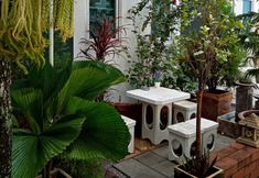 Common Space 4 Daddy's home Huahin