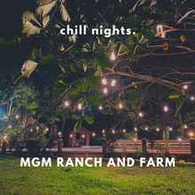 Kolam Renang 4 MGM Ranch and Farm Resort