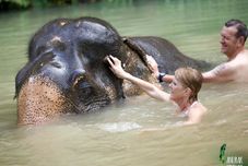 宿泊サービス Anurak Community Lodge