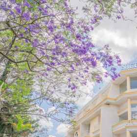 Exterior / Building 1 ナイスドリームダラットホテル, Đặc sản Đà Lạt Dung Lễ ホテル