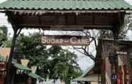 Sảnh chờ 6 Sugar Cane Guesthouse-I