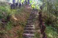 Ruang untuk Umum Banaue Ethnic Village and Pine Forest Resort