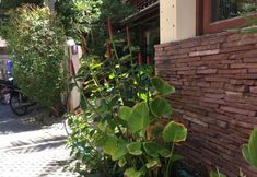 Exterior 5 Summer Inn