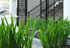 Lobby 2 Casa de Wanea Hotel & Resto