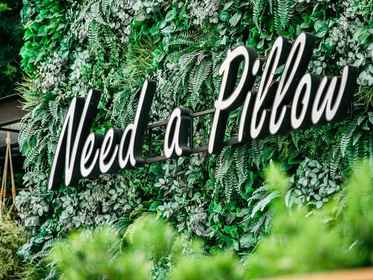 Need a pillow hotel sale