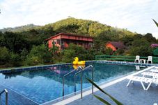 Swimming Pool Khao Sok Country Resort