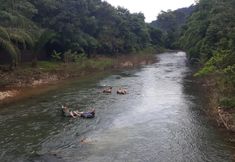 Nearby View and Attractions 5 Khao Sok Country Resort