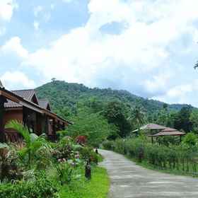 Khaosok Rainforest Resort 1, โรงแรม & ที่พัก เขาสก