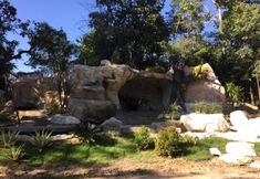 外觀 4 Forest Resort