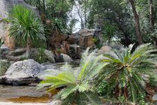 其他 Forest Resort