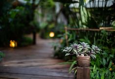 พื้นที่สาธารณะ 6 The Twenty Lodge
