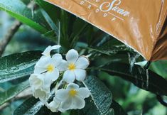 Bên ngoài 3 Luck Swan Resort