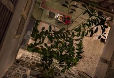 바, 카페, 라운지 4 Mingle Hostel Kuala Lumpur