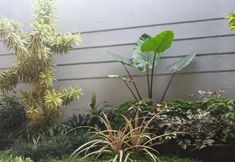 Exterior 4 Omah Blambangan
