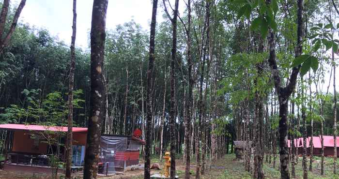 Luar Bangunan Khao Sok Evergreen House