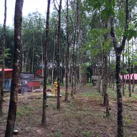 บ้านเขาสกเอเวอร์กรีน 1, โรงแรม & ที่พัก เขาสก