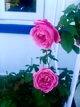 로비 4 La Vita Hotel