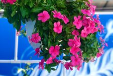 외관 La Vita Hotel