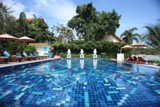 Swimming Pool Palm Coco Mantra