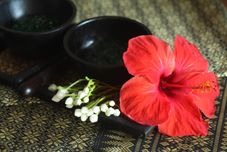 Entertainment Facility Palm Coco Mantra