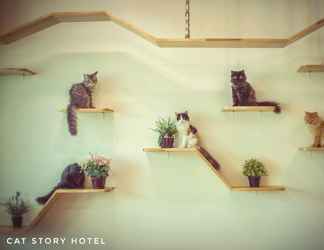 Lobby 2 The Cat Story Hotel