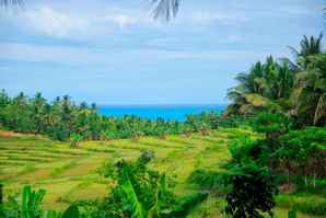 Sawarna BimBim Seaview Homestay, THB 634.79