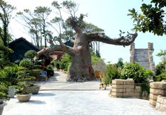 Khu vực công cộng 5 Hon Dau Resort