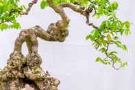 Khu vực công cộng Bonsai Homestay