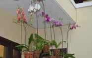 Common Space 2 Orchids Homestay