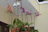 Common Space Orchids Homestay